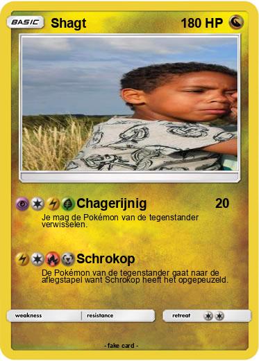 Pokemon Shagt