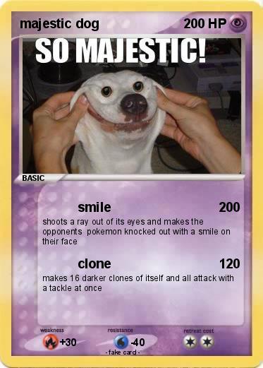 Pokemon majestic dog