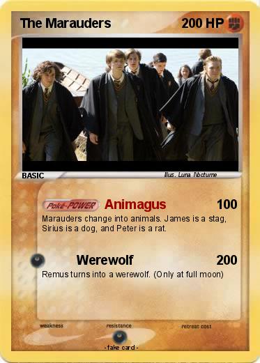 Pokemon The Marauders