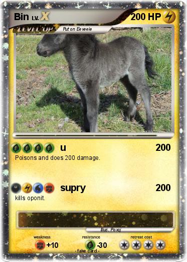 Pokemon Bin