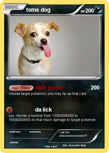 Pokemon toms dog