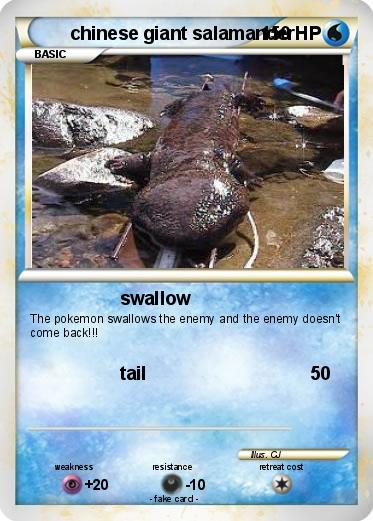 Pokemon chinese giant salamander