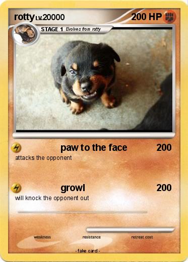 Pokemon rotty