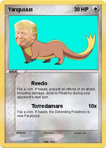 Pokemon Yanguuus