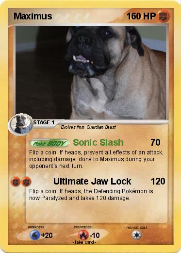 Pokemon Maximus