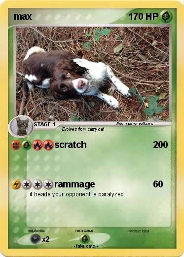 Pokemon max