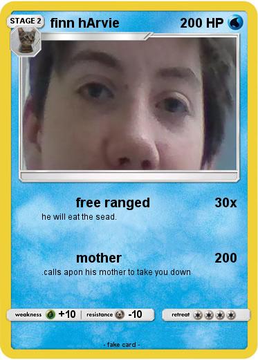 Pokemon finn hArvie