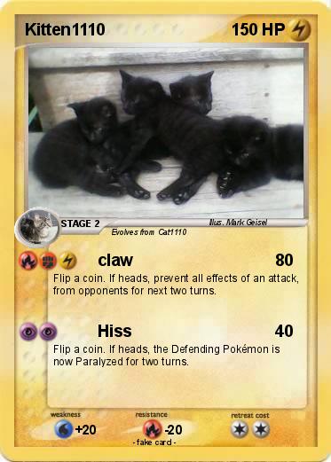 Pokemon Kitten1110