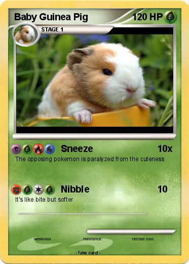 Pokemon Baby Guinea Pig