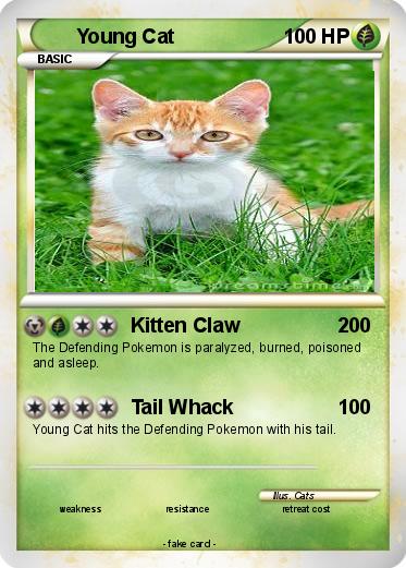 Pokemon Young Cat