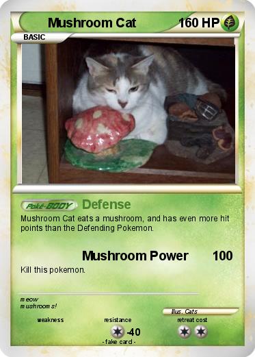 Pokemon Mushroom Cat