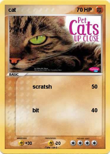 Pokemon cat