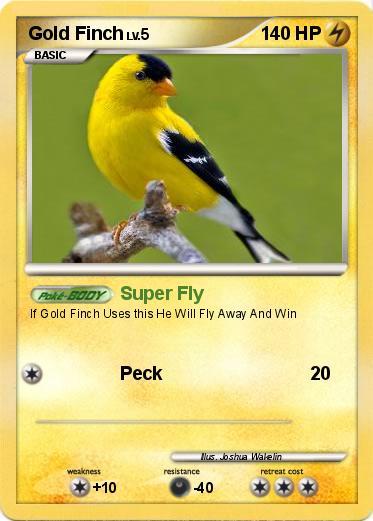 Pokemon Gold Finch