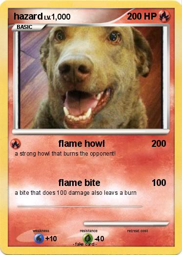 Pokemon hazard