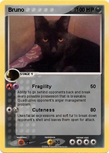 Pokemon Bruno