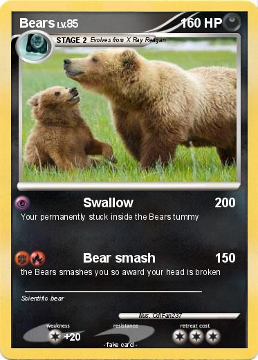 Pokemon Bears