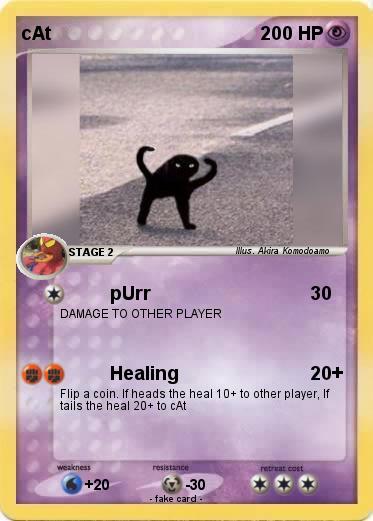 Pokemon cAt