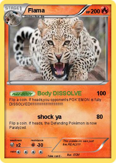 Pokemon Flama