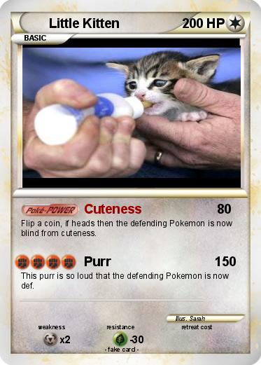 Pokemon Little Kitten
