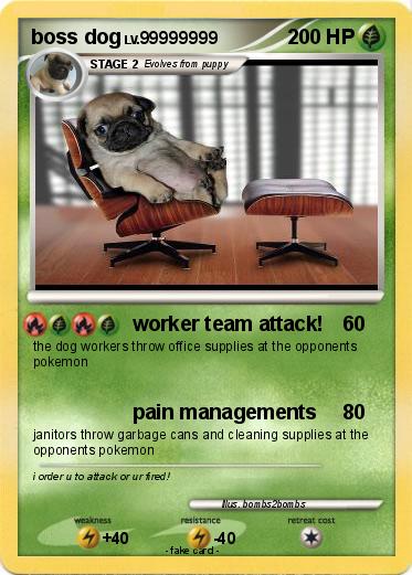 Pokemon boss dog