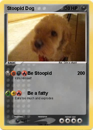 Pokemon Stoopid Dog
