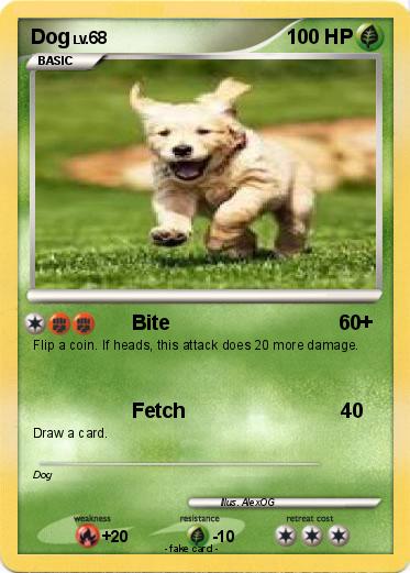 Pokemon Dog