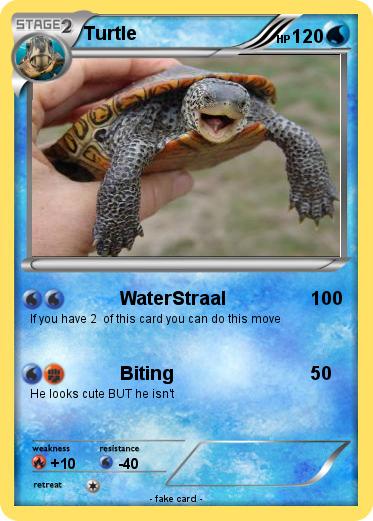 Pokemon Turtle