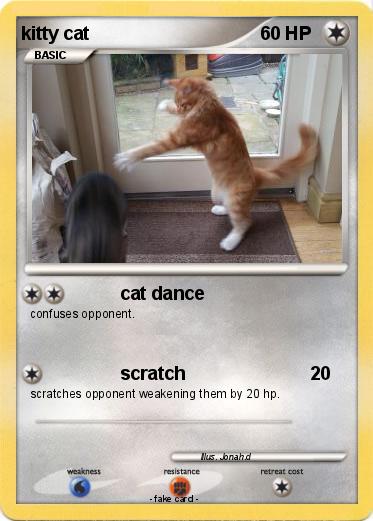 Pokemon kitty cat