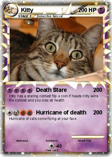 Pokemon Kitty