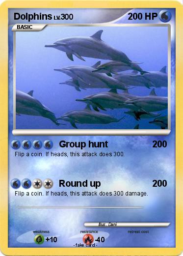 Pokemon Dolphins