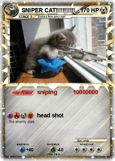 Pokemon SNIPER CAT!!!!!!!!!!!