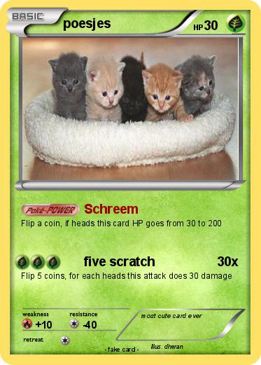 Pokemon poesjes