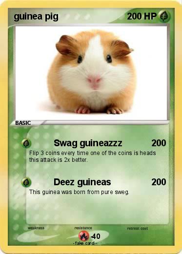 Pokemon guinea pig