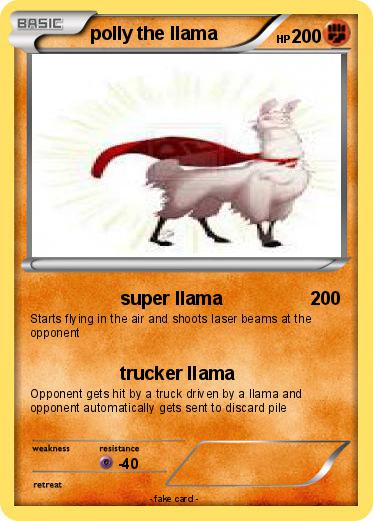 Pokemon polly the llama