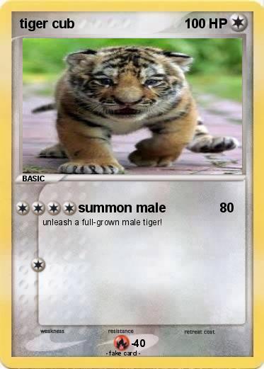Pokemon tiger cub