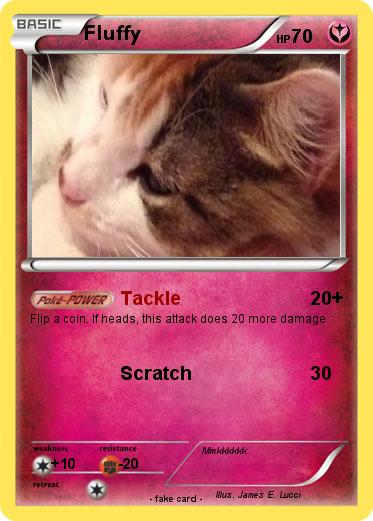 Pokemon Fluffy