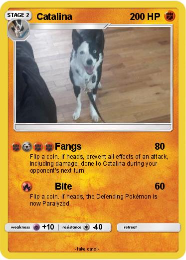 Pokemon Catalina