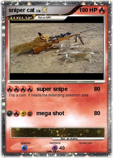 Pokemon sniper cat
