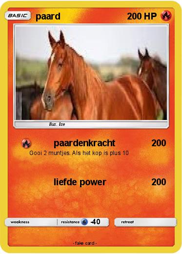 Pokemon paard