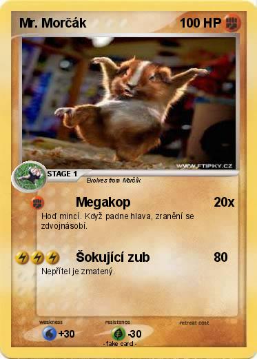 Pokemon Mr. Morčák