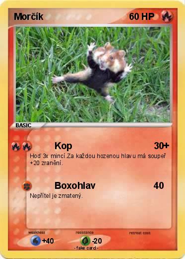 Pokemon Morčík