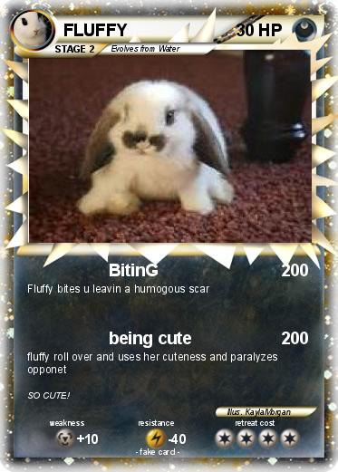 Pokemon FLUFFY