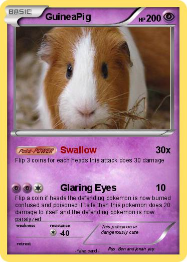 Pokemon GuineaPig