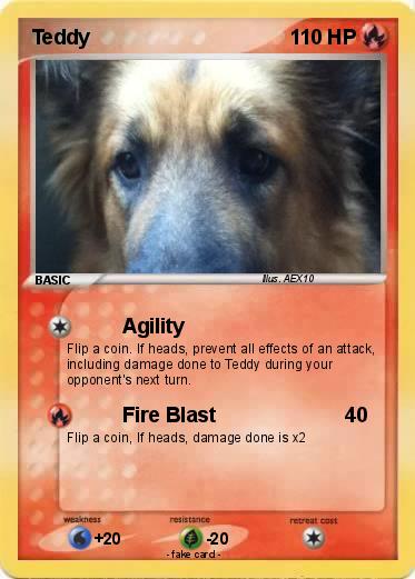 Pokemon Teddy