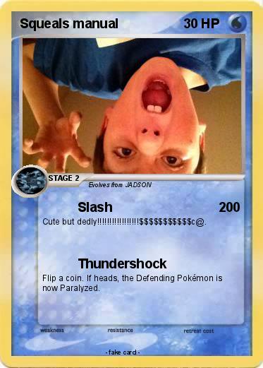 Pokemon Squeals manual