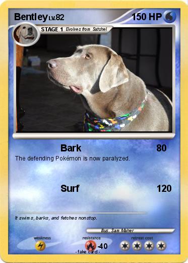 Pokemon Bentley