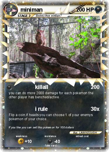 Pokemon miniman