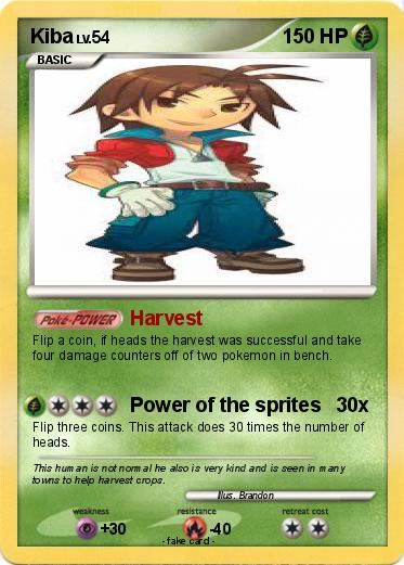 Pokemon Kiba