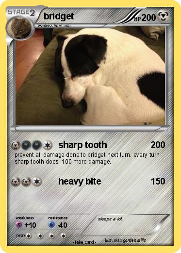 Pokemon bridget