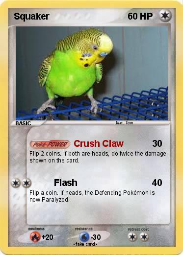 Pokemon Squaker
